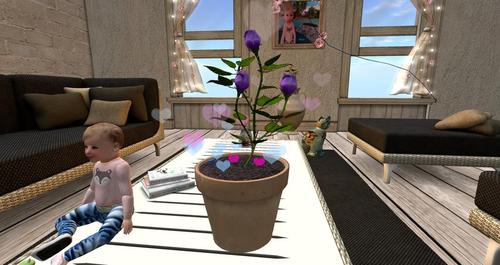 Web 58ef7a84d774f86eb2000001