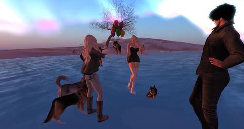 Web 5933b81c73ed172737000001