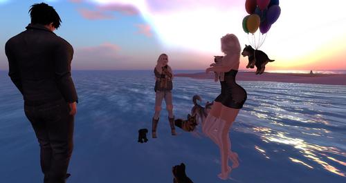 Web 5933b87cd9859c1eca000001