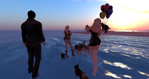 Web 5933b8f8d774f849a5000001