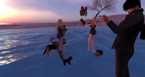 Web 5933b95a73ed172fc6000001