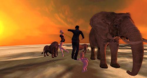 Web 5933c6cc289dd24a6d000001