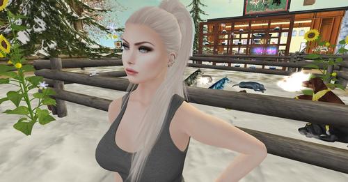 Web 5a2ecb40289dd246d7000001