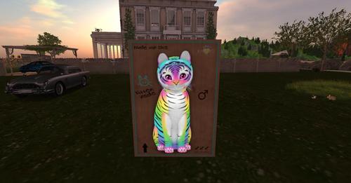 Web 5a406d5973ed176777000001