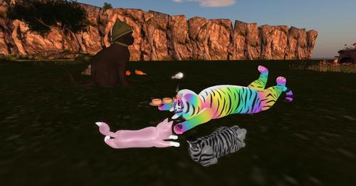 Web 5a46cae4d774f80191000001