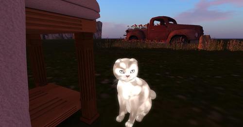 Web 5a4711f1d774f8043f000001