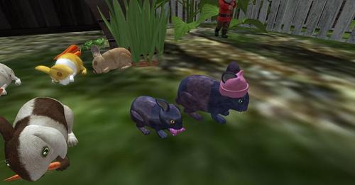 Web 5ac7bde0289dd21699000001