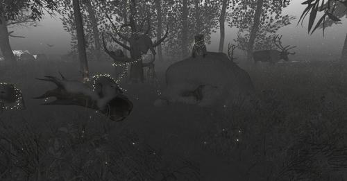 Web 5d3f98b173ed1732c9000001