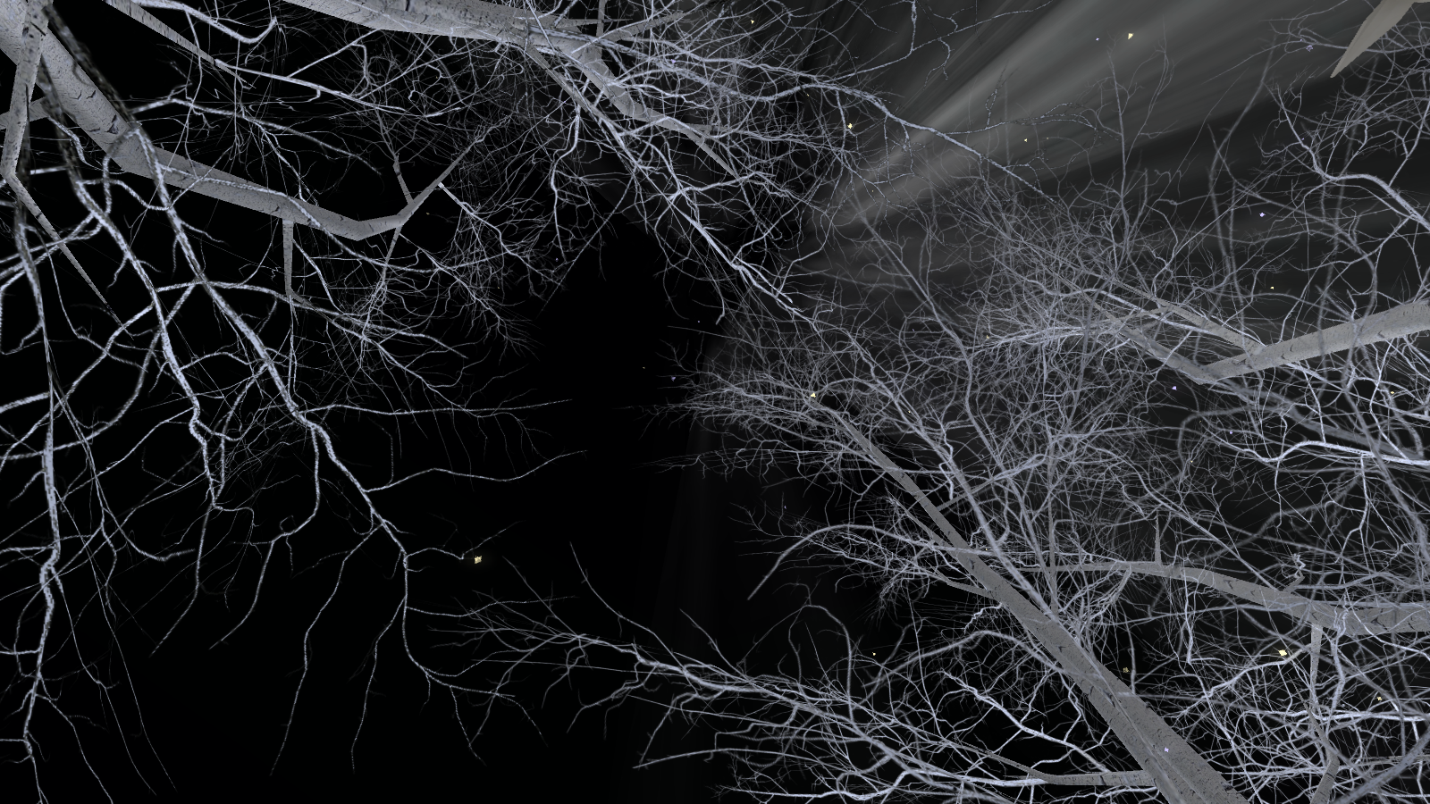 Original 5a73e9c7289dd24cb8000001