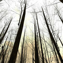 Thumb 652d994aff9c6d05a5c1fa7c