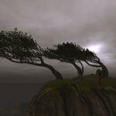 Thumb 6647f8703057f84c747e206c