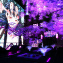 Thumb 681c06b4558ee945b40cd899