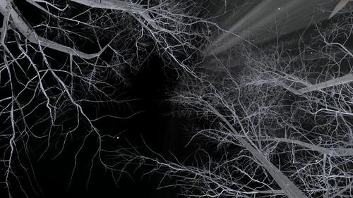 Web 5a73e9c7289dd24cb8000001