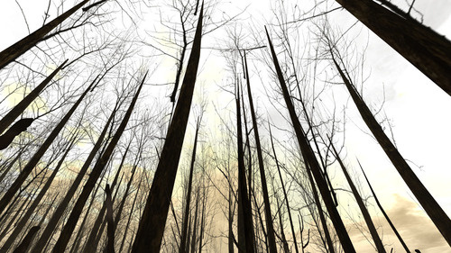 Web 652d994aff9c6d05a5c1fa7c