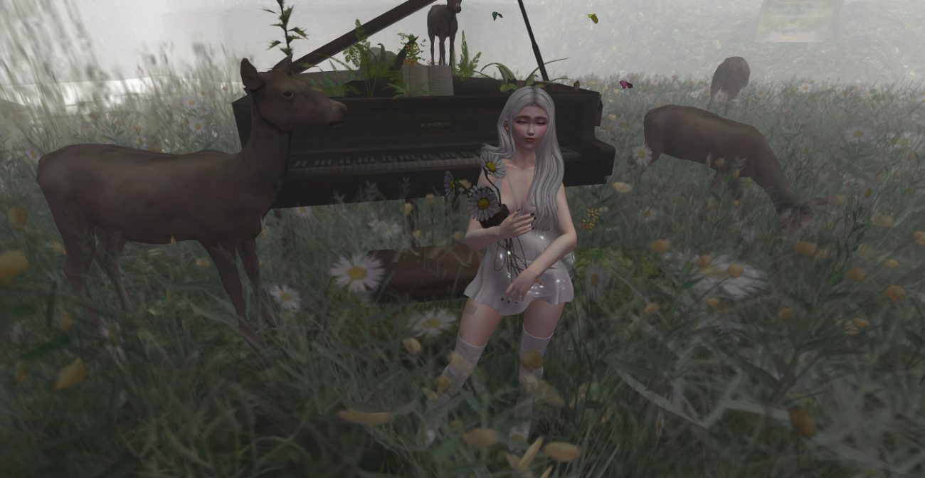 Original 5b122b83289dd24949000001