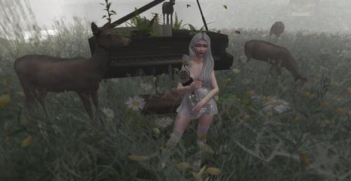 Web 5b122b83289dd24949000001