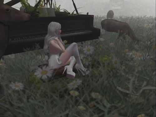 Web 5b122bf373ed1739e2000001