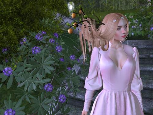 Web 5c60d9f3d774f868d8000001