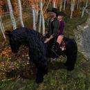 Thumb 6185c06b3509d71512ce5b1f