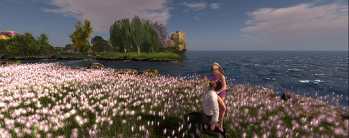 Web 66d75b516b9bf436c8cf3c09