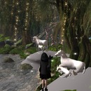 Thumb 588ea949e85cda3d68000001