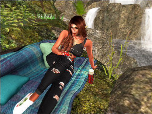 Web 642b60d964a3a45c02e65a9c