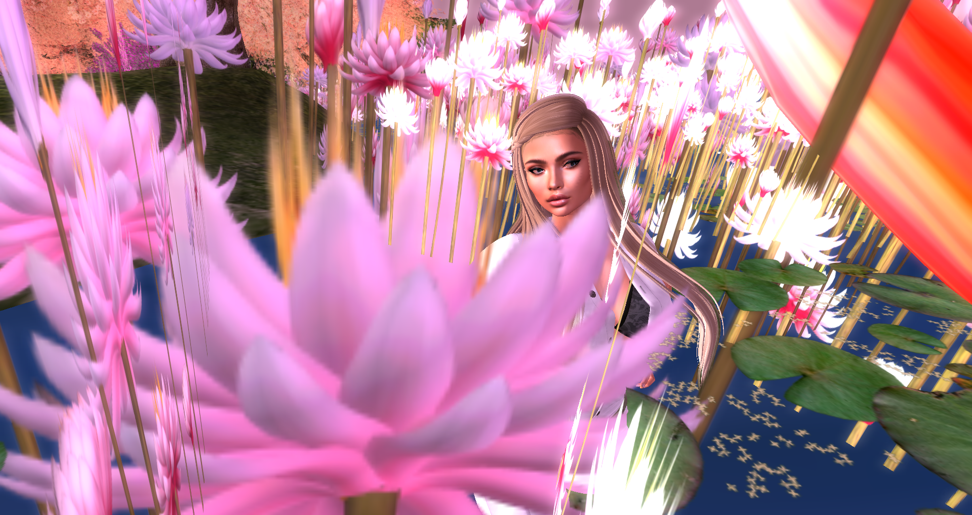 Original 61fab96cb41dd6370999065f