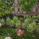 Thumb 6034490e0865e0646a756f8c