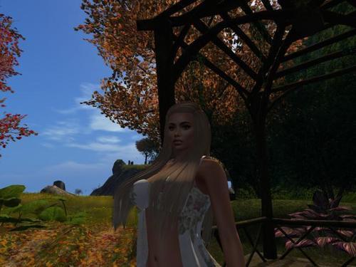 Web 616c9e4b28021b352cd51c63