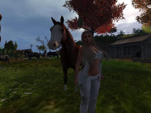 Web 616ca13acd8dbc68853b8bf9