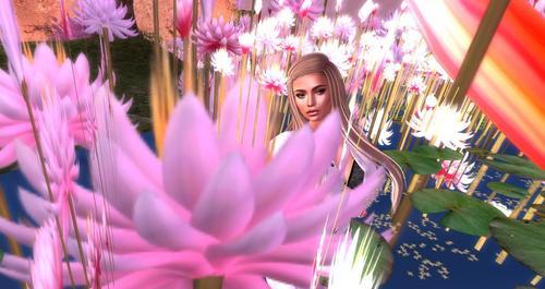 Web 61fab96cb41dd6370999065f