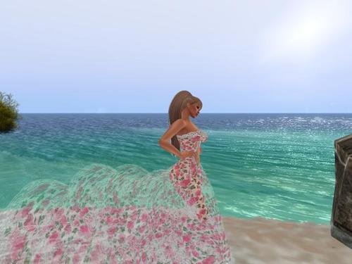 Web 61fbfefbf0a7766a7e32a523