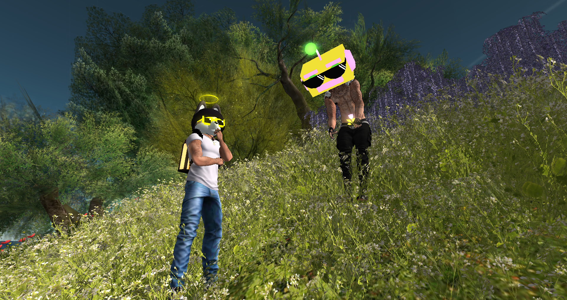 Original 623c8259e8a5f153ebc1669f