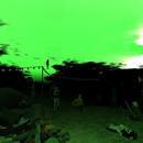 Thumb 611838dcf20556383e8d0258