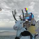 Thumb 61bb6be0aee69156dcd4a6c8