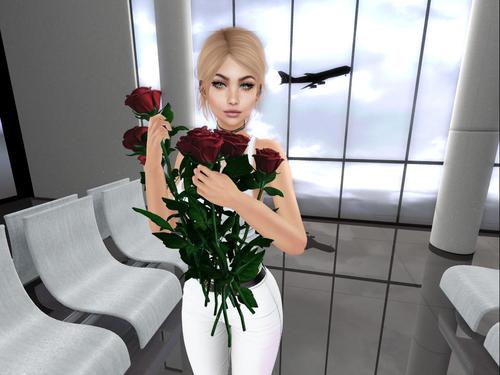 Web 5a8c55ead9859c034b000001