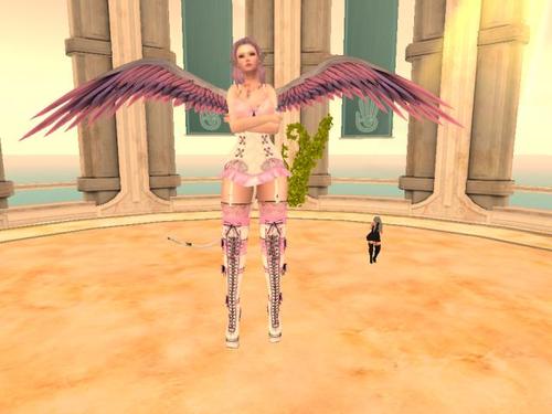 Web 5a2f1d38d774f83abb000001