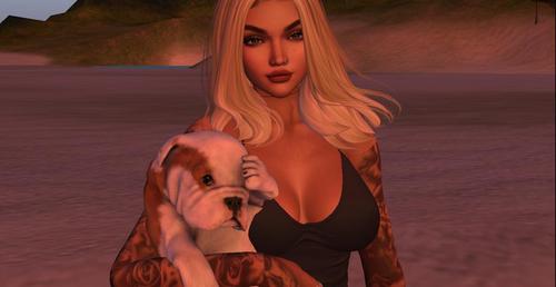 Web 5c0ddbefd774f81c2a000001