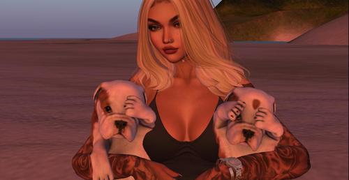 Web 5c0ddc2d73ed174db1000001