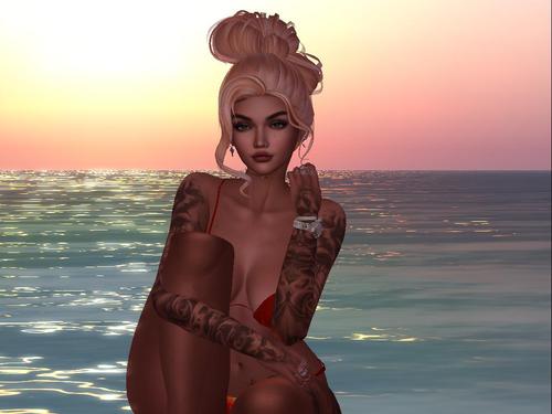 Web 5c0de46cd774f84f5c000001