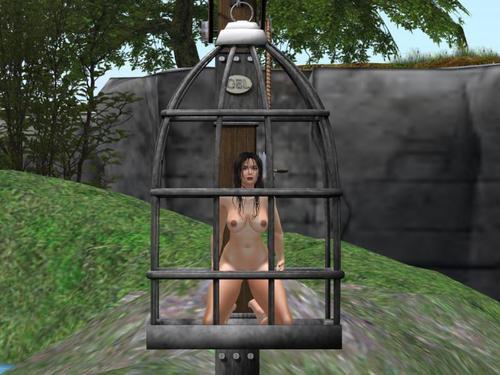 Web 5eb8372773ed173db9fdbcb2