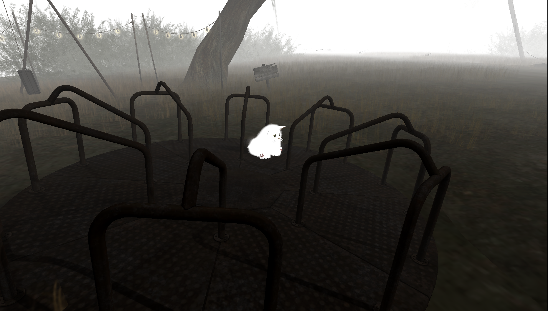 Original 59dbed99d774f82f63000001