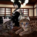 Thumb 59f507b173ed176ab6000001