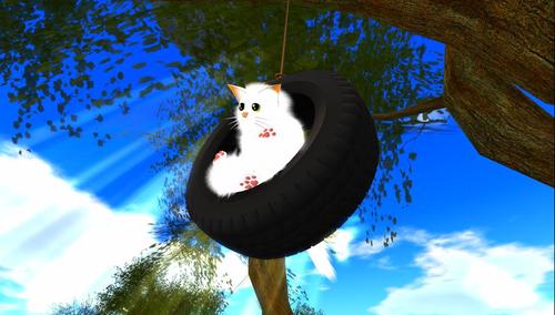 Web 59dbe92a73ed171160000001