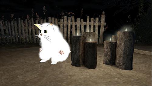 Web 59dbeb46d9859c70aa000001