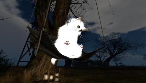 Web 59dbf0b9d9859c2686000001