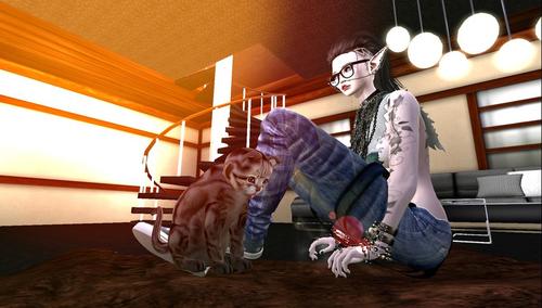 Web 59efbbddd774f81031000001