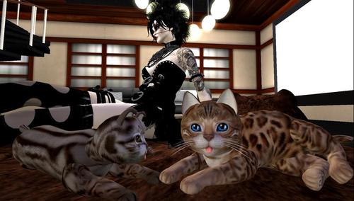 Web 59f507b173ed176ab6000001