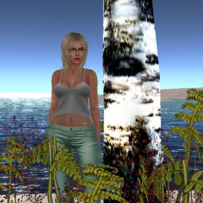 Web 59079f38289dd21d98000001