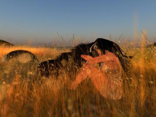 Web 59e9187573ed174cb6000001